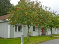 Nordiska FolkhГ¶gskolan Bed and Breakfast 