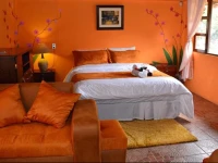 Hosteria las Orquideas Runtun Restaurant 3*