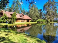 Finca Palumbo 