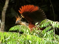 Yarina Eco Lodge 3*