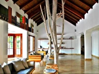 Nazu House 