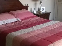 Suite de lujo 
