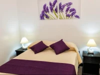 Villa64 