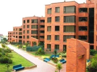 Martin Home 