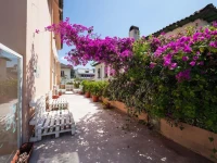 Bird Garden Guest House 