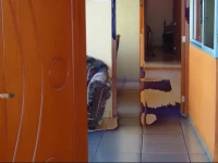 Hostal La Esperanza Verde 