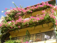 Angelikis Apartments 