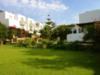 Vidalis 3*