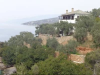Sea Front 