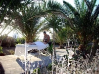 Ecoxenia 3*