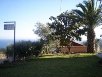 Manolia Studios 