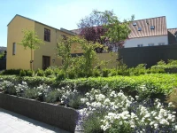 Hotel Borgmestergaarden 