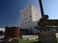 Chateau Pago De Cirsus 5*