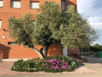 Hotel Restaurant Casa Miquel 1*