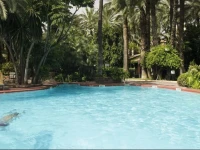 Huerto del Cura 4*