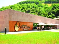 Balneario Elgorriaga 3*