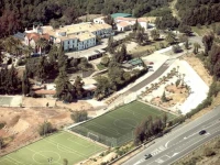 Abetos del Maestre Escuela 