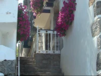 El Puerto 1*