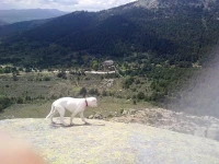 Hotel Rural Las Postas 3*