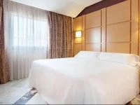 Tryp Puertollano Hotel 2*