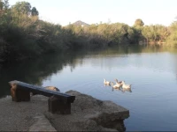 Oasis Country Park 