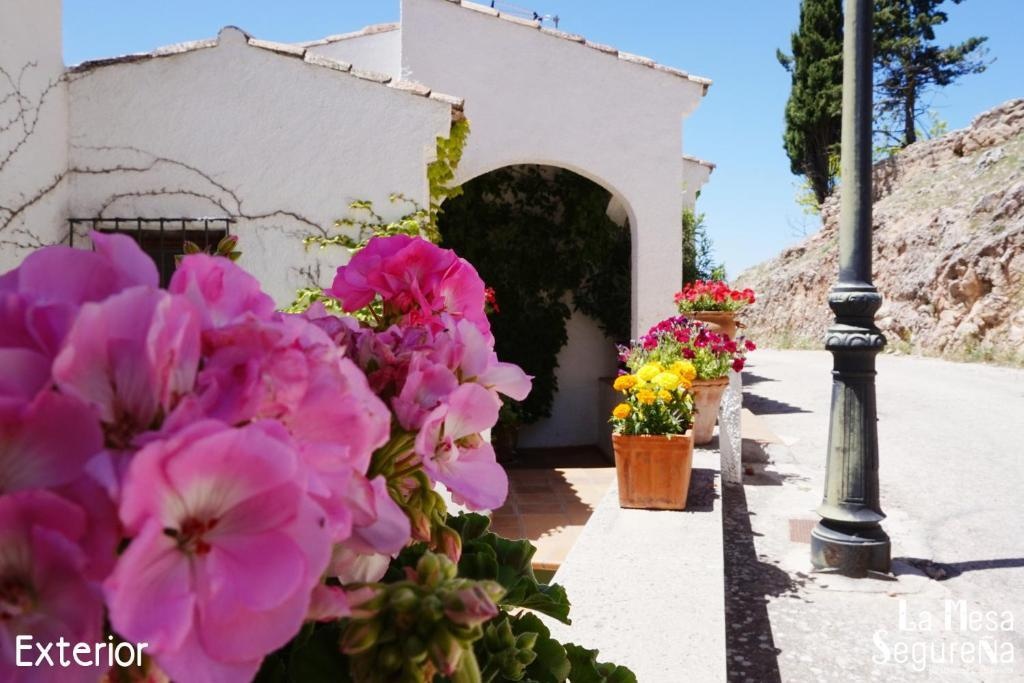 La Mesa Segurena 2*