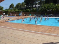 Camping Caledonia 