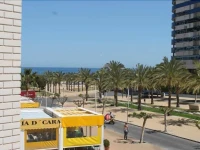 Gemelos 24 