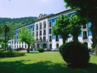 Balneario de Cestona 3*