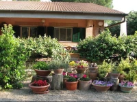 B&B Villa La Grandetta 