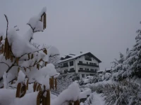 Hotel Milleluci 4*