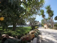 B&B La Rosa Blu 