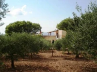 Acqua Di Menta B&B  