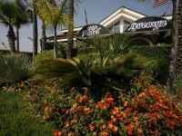 Hotel Leucosya 4*