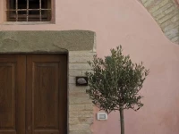 Torre Della Botonta 