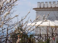 B&B La Torretta Bianca 