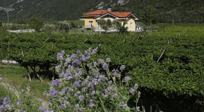 Appartamenti Al Vigneto 
