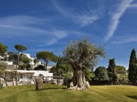 Garden & Villas Resort 4*