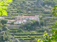 Serafina Agriturismo  