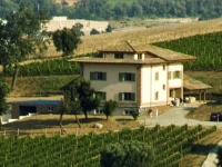 LOrso e LApe B&B 