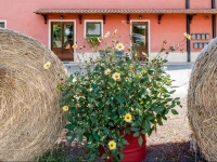 Agriturismo La Meridiana 