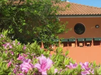 B&B Tana Della Volpe 