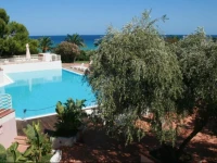 Free Beach Club 4*