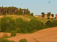 Azienda Agrituristica Il Sarale 
