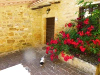 Il Borgo Di Toppo 