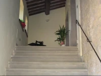 Agriturismo La Casciara 