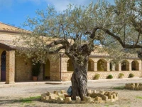 Agriturismo Salemi 4*