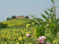 Agriturismo Bonello