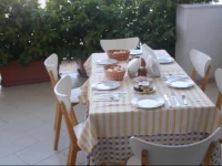 B&B Paluada 
