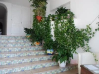 Alcione Residence 
